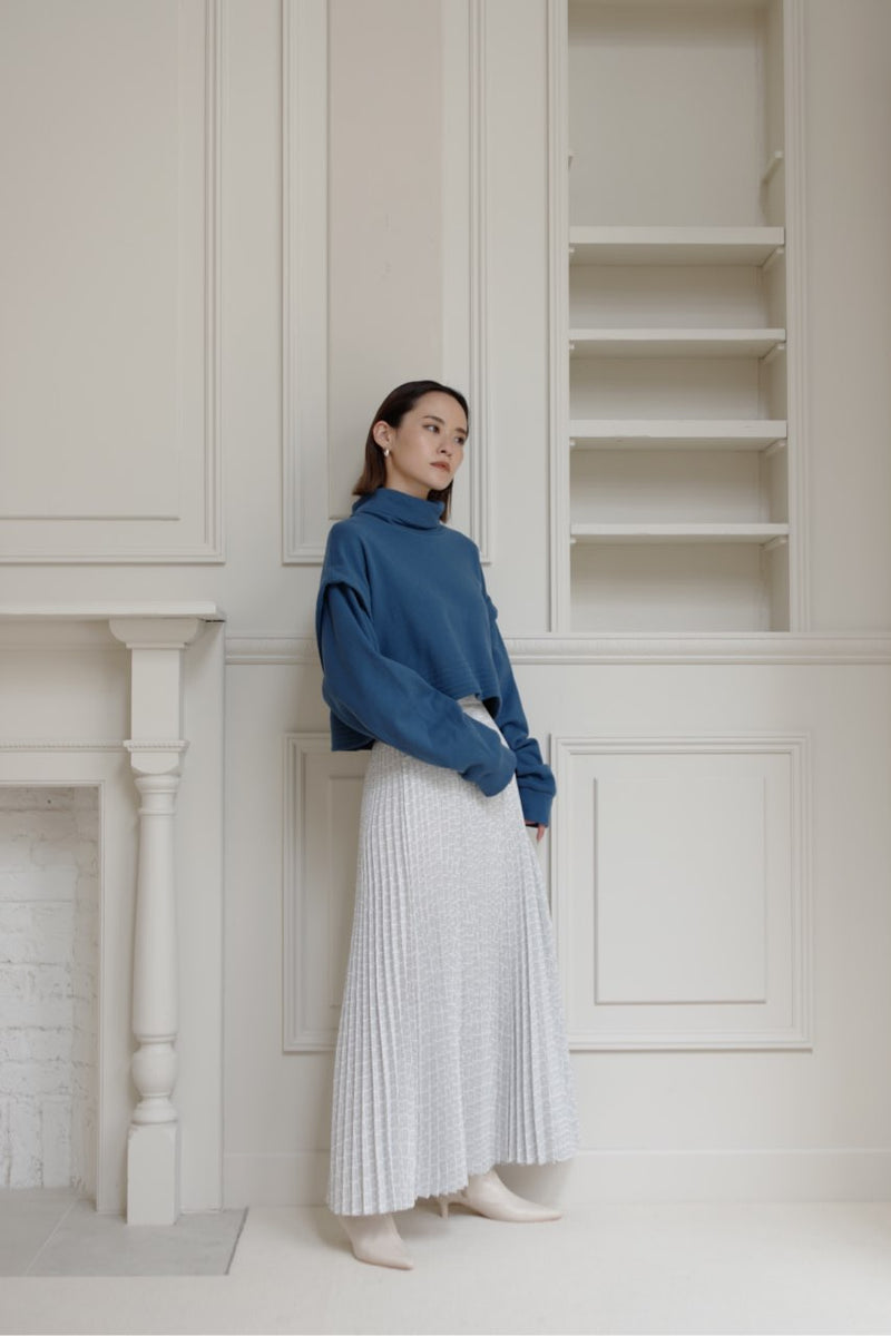 Hard pleats flare skirt - Mix